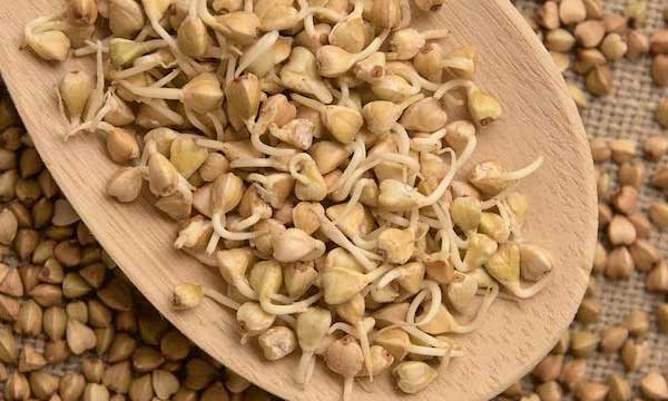 Csírázott zöld hajdina: Élő energia minden magban